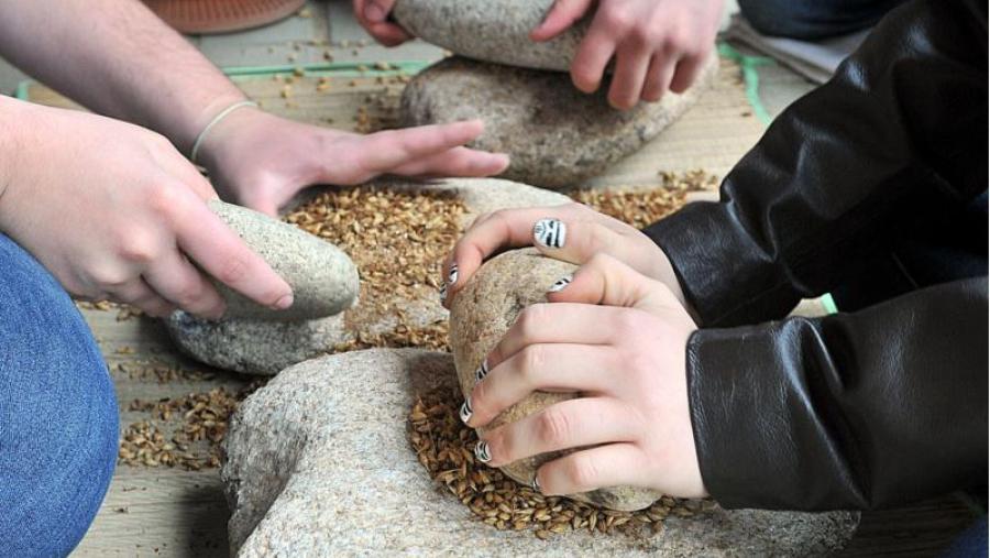 Triturado do grao de cebada (Foto: Santi Alvite)