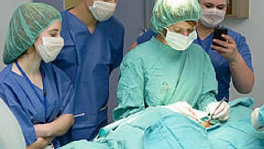 Participantes nun dos obradoiros desenvolvidos nunha edición anterior de Xuvenciencia Lugo