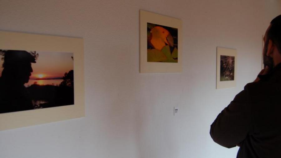 O profesor José Ángel Docobo retrata as cores da vida nunha exposición en Fonseca