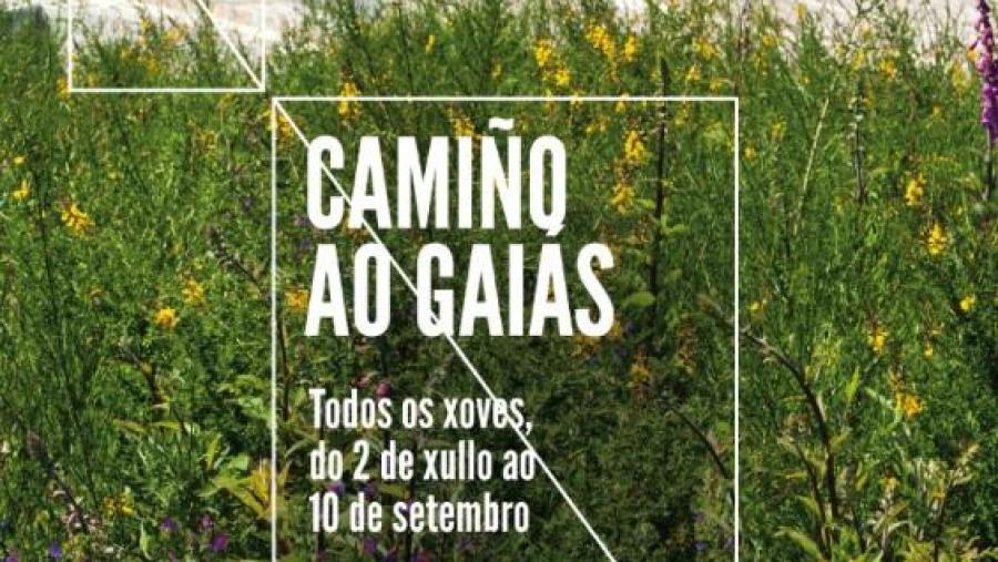 A Fundación USC Deportiva inicia este xoves o desenvolvemento de novas rutas ‘Camiño ao Gaiás’