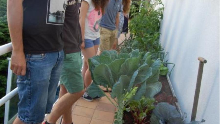 Hortos urbanos ecolóxicos da residencia 'Bal y Gay'