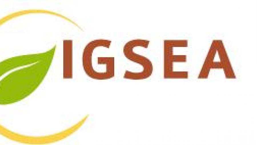 Logo da Rede Igsea