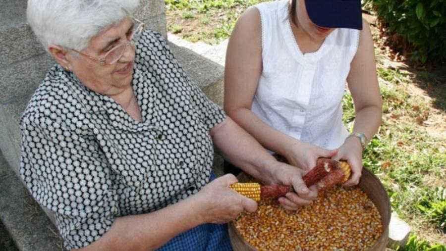 Abre a matrícula para unha nova edición en Santiago do curso de iniciación ao voluntariado e cooperación