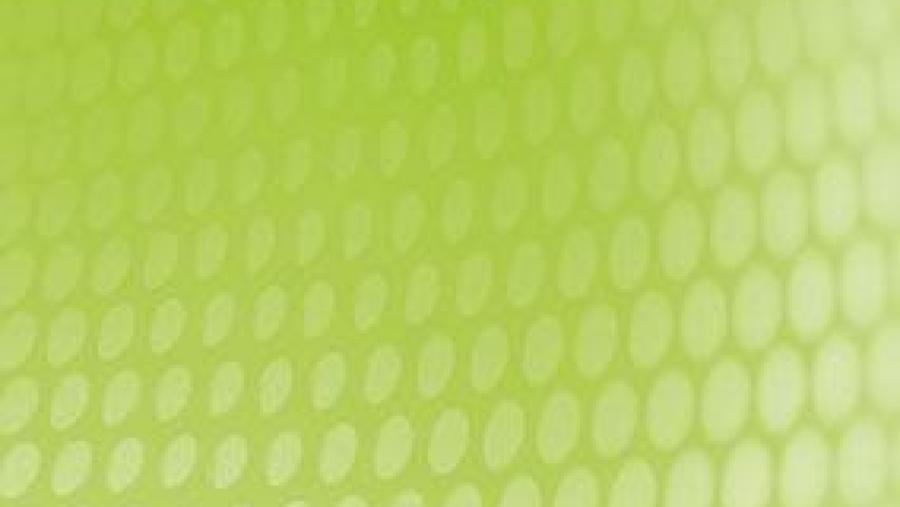 A revista do ILG Estudos de Lingüística Galega, sétima no ránking das publicacións de linguas e lingüística editadas en España