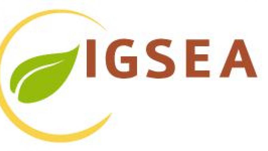 Logo da Rede Igsea