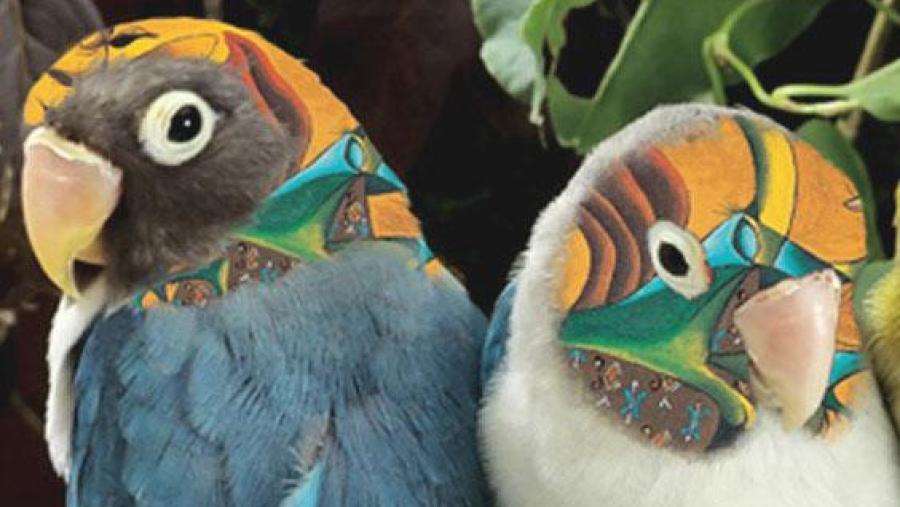 Unha viaxe polo exótico no Museo de Historia Natural da man de Eugenio Granell