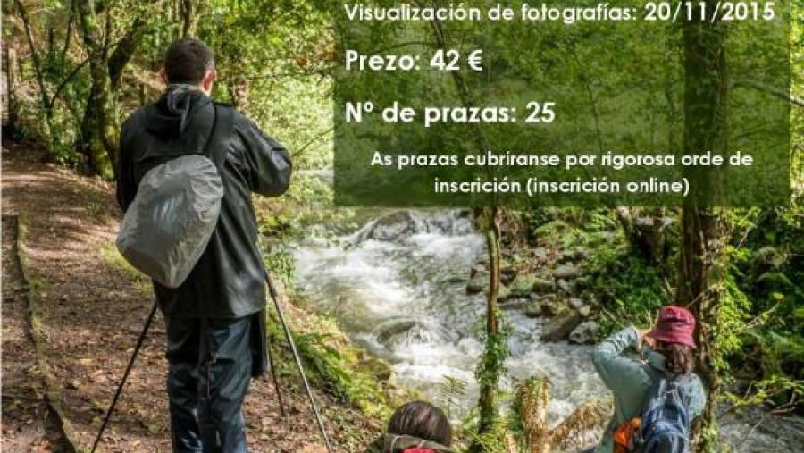 Cartal da actividade