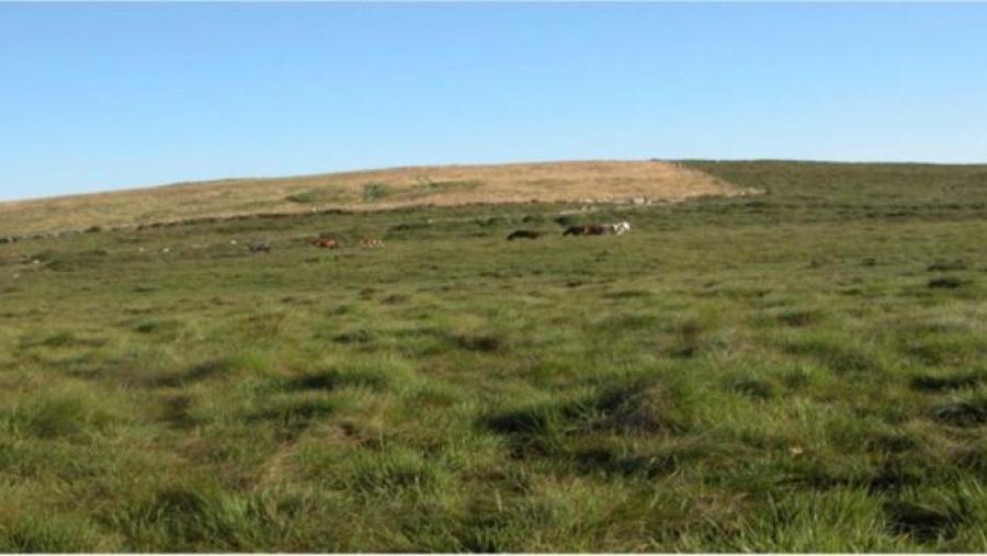 Vista xeral da turbeira de La Molina, emprazada nunha área de intensiva minería en época romana. Foto: José Antonio López Sáez