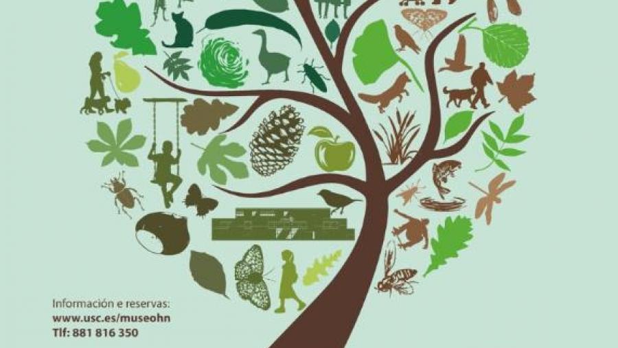 O Museo de Historia Natural da USC e o Concello de Santiago celebran o Día da Árbore con diversas actividades conxuntas