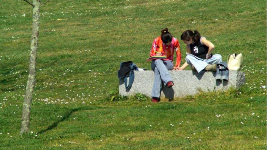 A primavera comezará na madrugada do domingo ás 5.30 horas