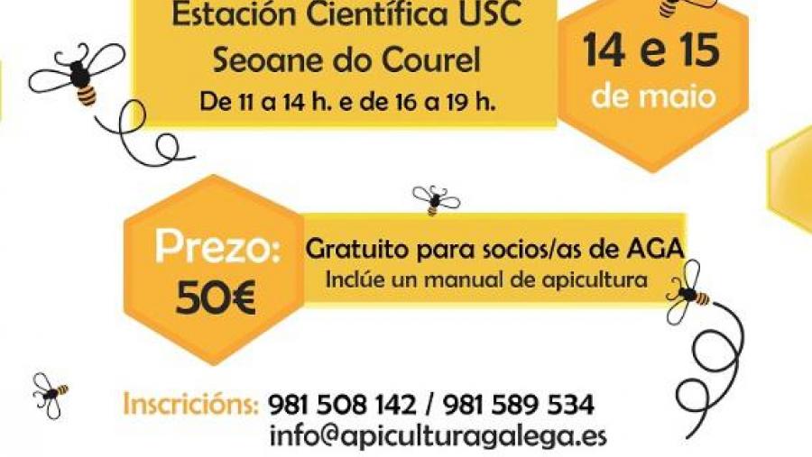 Cartaz do curso de iniciación á apicultura