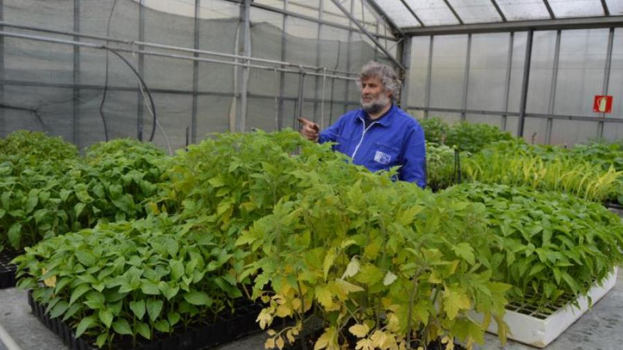 Miguel Anxo Martínez 'Cholas', nun invernadoiro da EPS