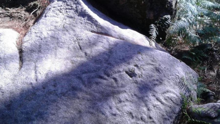 O equipo de GEPN considera que dunha arma de grandes dimensións rodeada de diferentes animais é “algo completamente inusual na arte rupestre”. Foto: GEPN