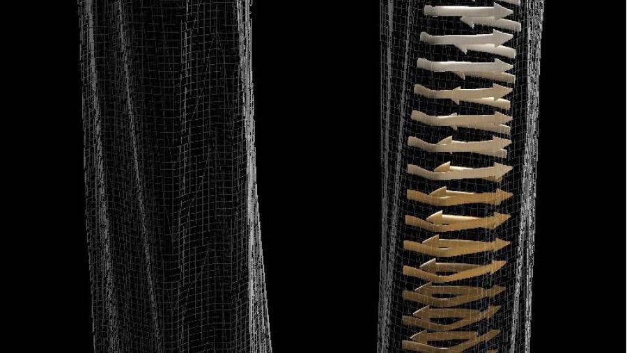 A USC avanza no estudo da estrutura dos prións e abre unha vía para coñecer a forma de propagación destes axentes infecciosos