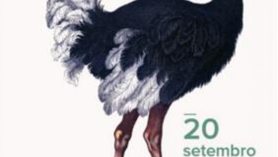 Cartaz do XXII Maratón Fotográfico do Campus Terra da USC