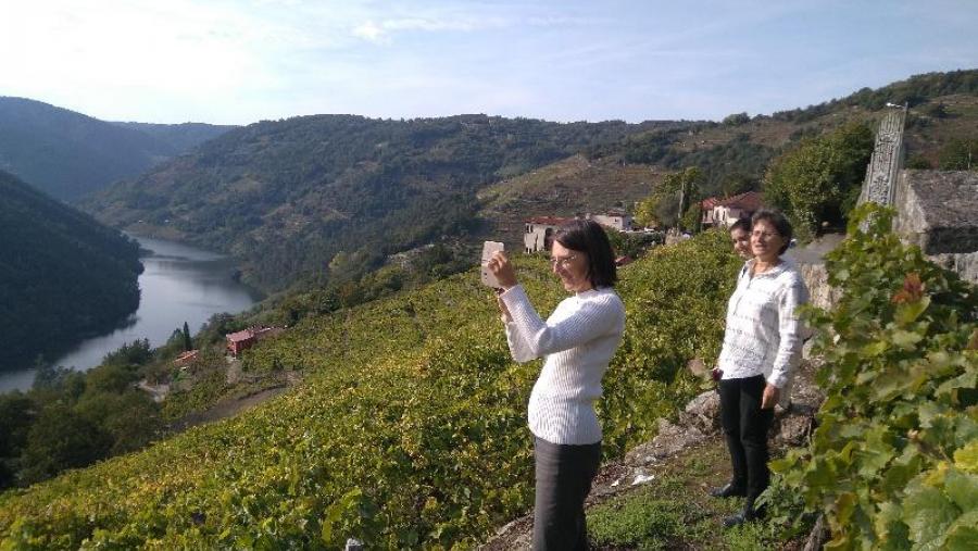 Cristina Cabaleiro, entre outras dúas investigadoras do proxecto Pathogen, na Ribeira Sacra