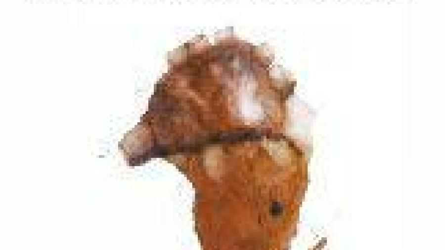 Cartaz do documental