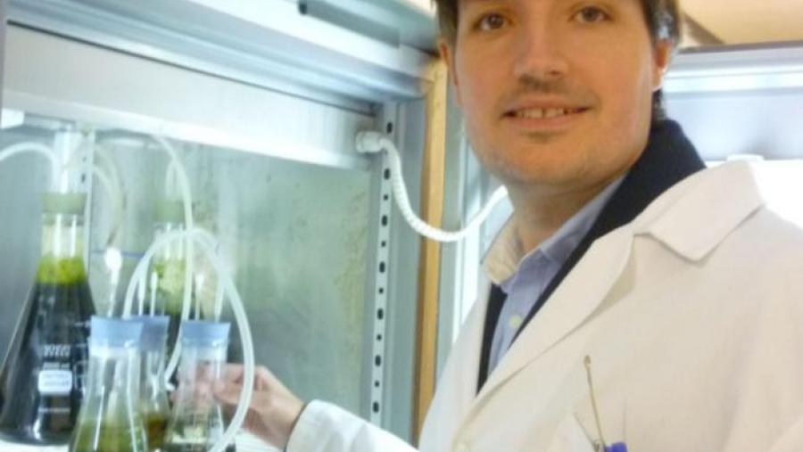 O biofilm formado sobre sedimentos de río ten un papel esencial na retención e redución da  toxicidade do arsénico en ecosistemas fluviais