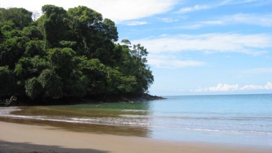 A USC lidera a primeira Rede Temática de Avaliación dos Servizos Ambientais Mariño-Costeiros en Iberoamérica