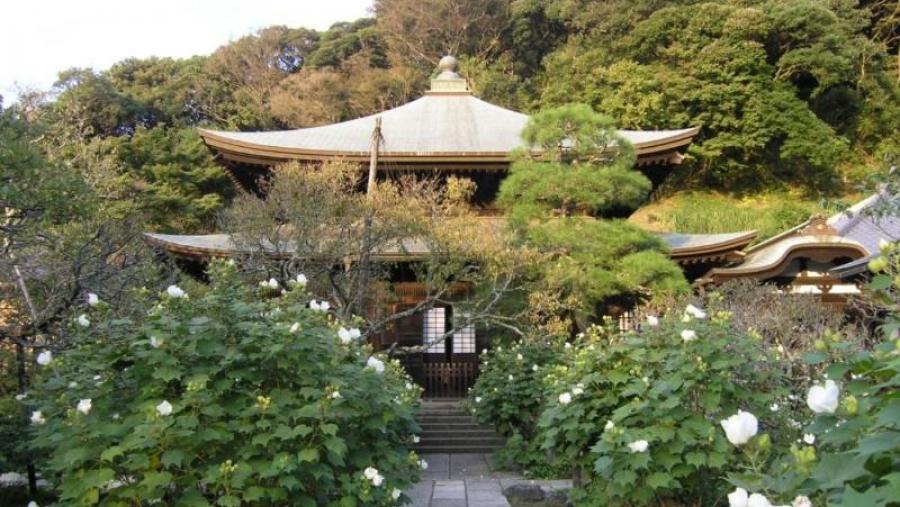 A pegada do Zen e os costumes galantes e amorosos do período Heián, conferencias para descubrir Xapón