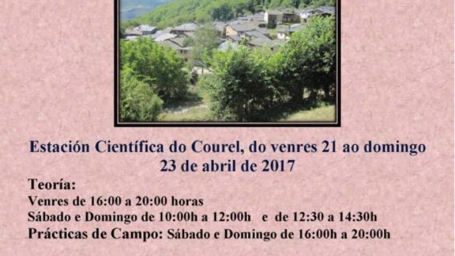 Cartaz do obradoiro de usos tradicionais de plantas medicinais