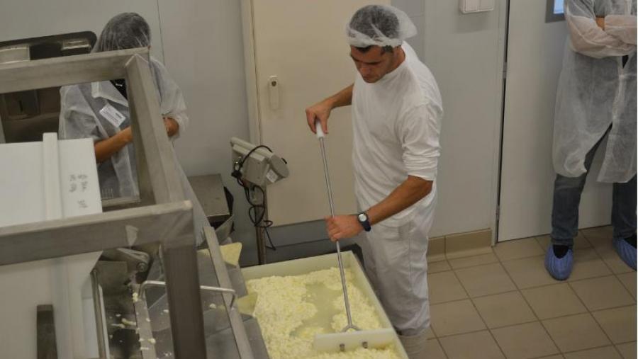 Proceso de elaboración de queixo