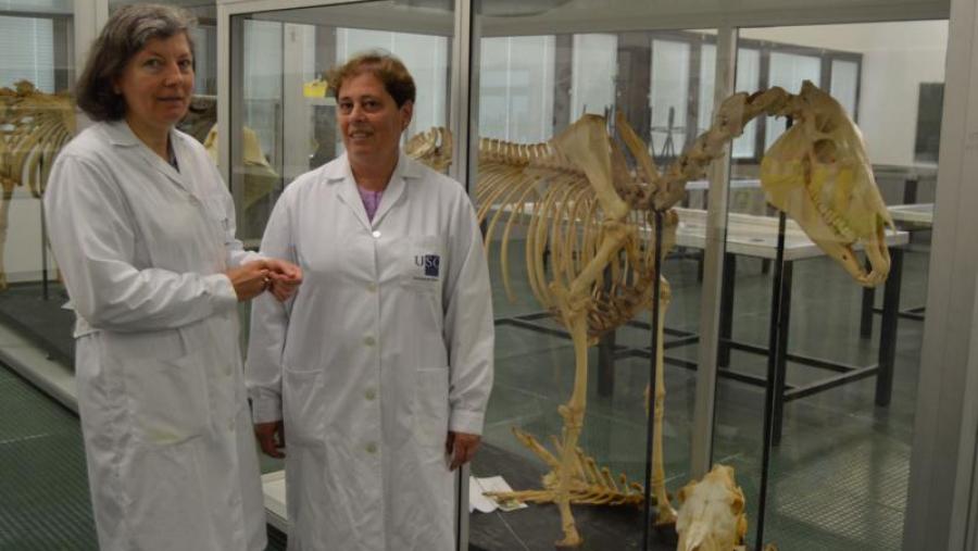 Matilde Lombardero e Mar Yllera, nun laboratorio da Facultade de Veterinaria