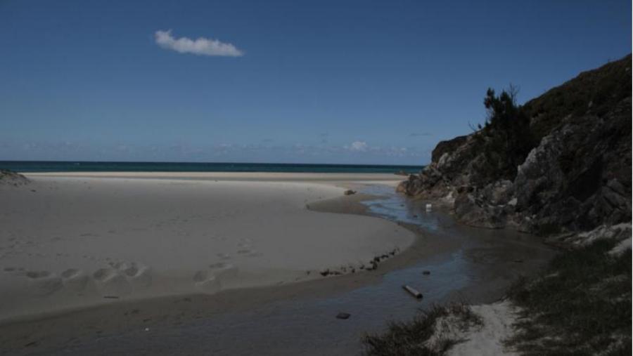Investigadores de Bioloxía colaboran co Concello de Ferrol e ADEGA na creación dunha rede de Microrreservas de Flora