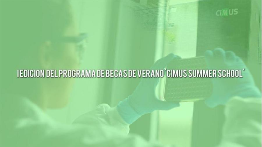 O CiMUS ofrece oito bolsas de investigación na súa primeira edición do programa de verán 