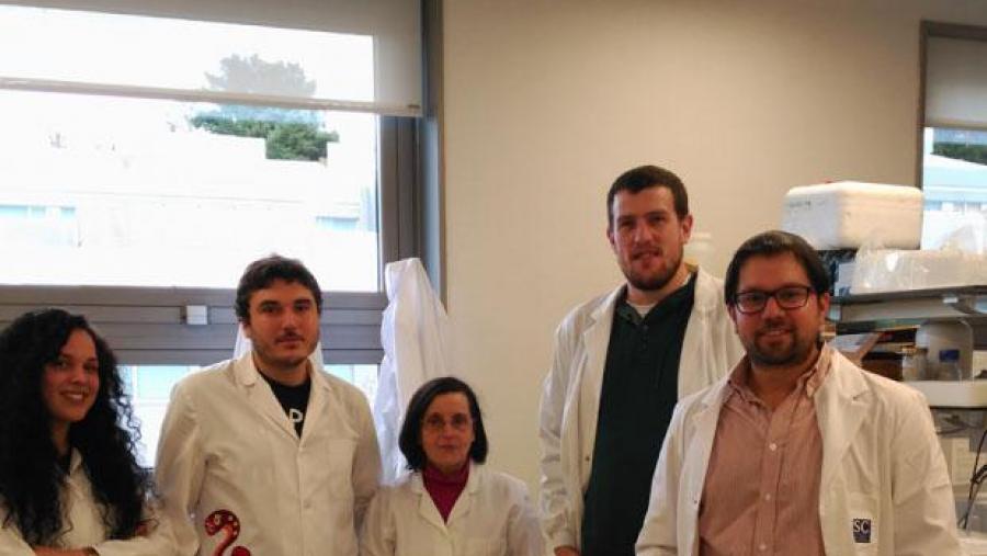 Antón Barreiro (á esquerda) con parte do equipo de investigación da USC