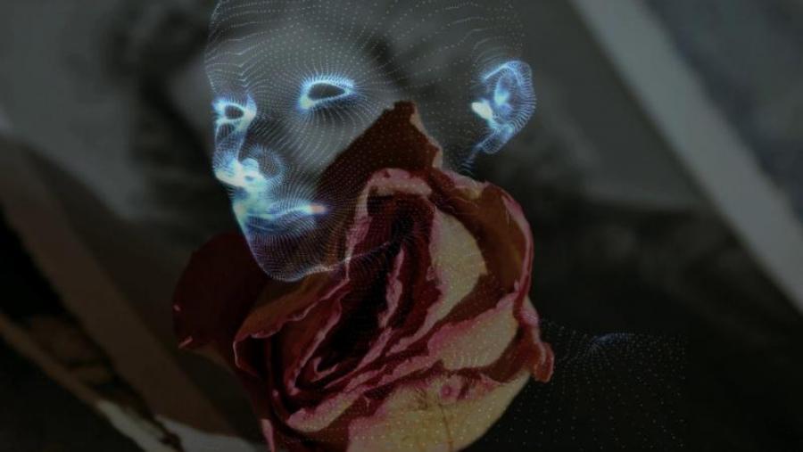 Estudantes de distintas nacionalidades reuníronse esta semana en dúas escolas de intelixencia artificial desenvolvidas no CiTIUS