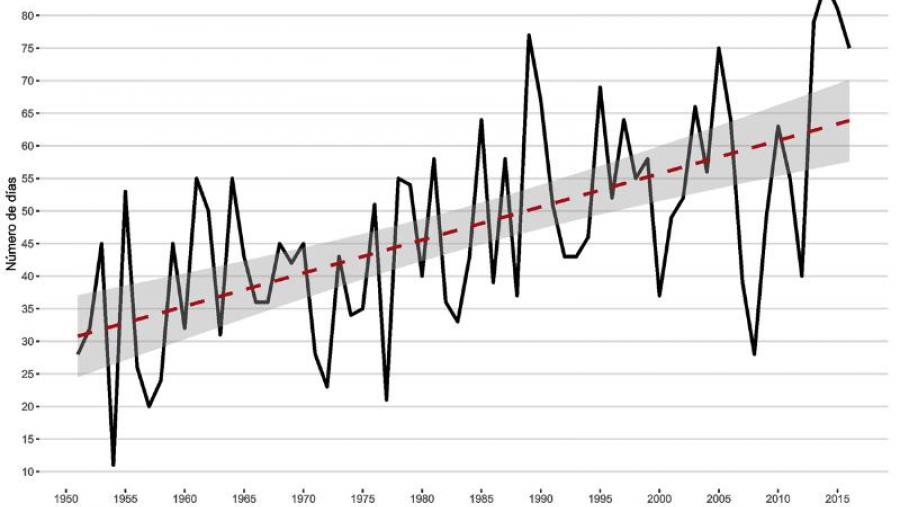 Xeógrafos da USC evidencian os efectos do cambio climático en Galicia