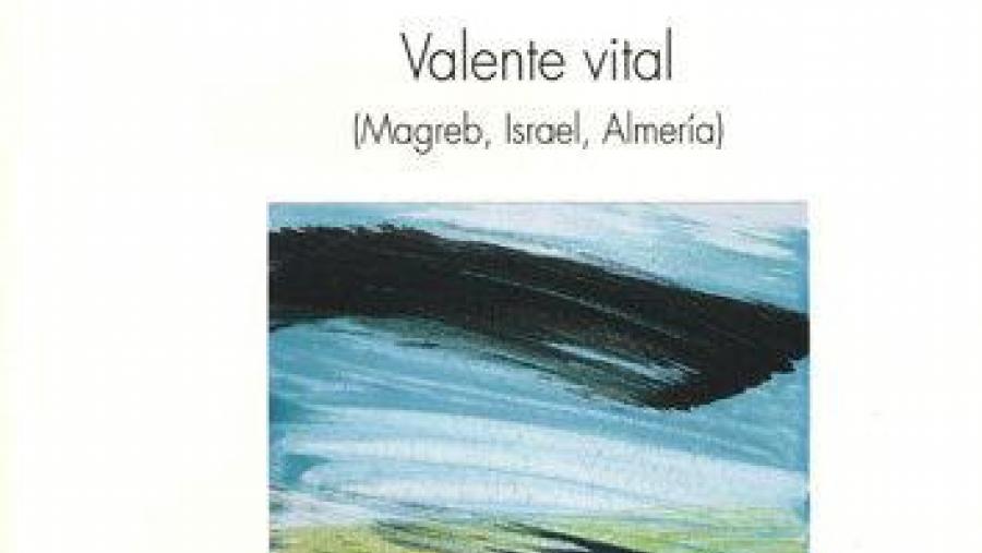 Portada do terceiro volume da serie Valente Vital