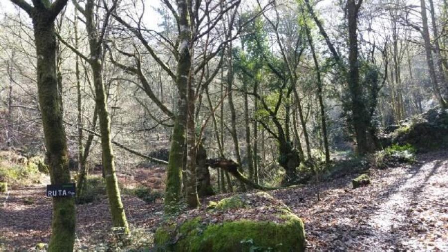 Foto: Asotrotamontes (Wikiloq)