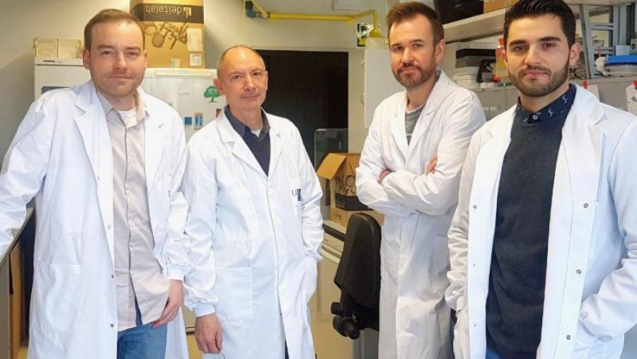 De esquerda a dereita: Samuel Seoane, Román Pérez Fernández, Juan Sendón e Anxo Martínez, investigadores do CiMUS