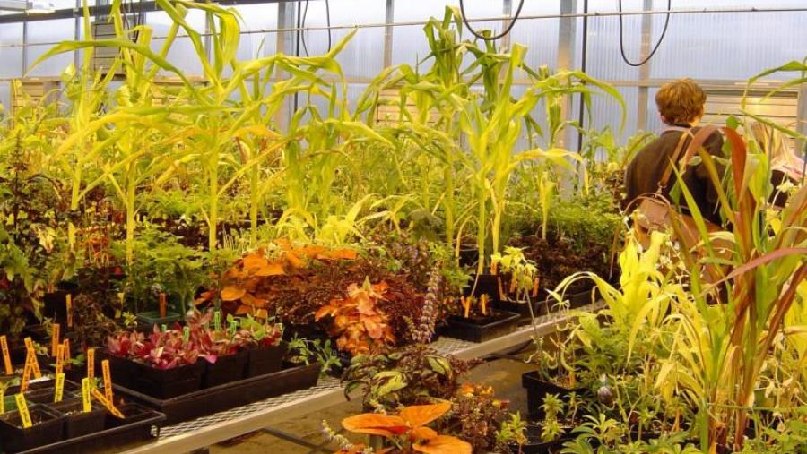 O III Simposio Nacional e I Ibérico de Enxeñaría Hortícola aborda o uso de drons e satélites en agricultura no Campus Terra da USC