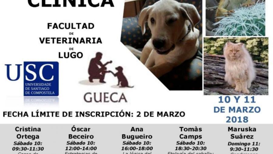 Cartaz do III Congreso de Etoloxía Clínica