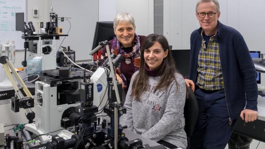 Mercedes Novo, Sonia Freire e Wajih Al-Soufi, nun laboratorio da Facultade de Ciencias de Lugo