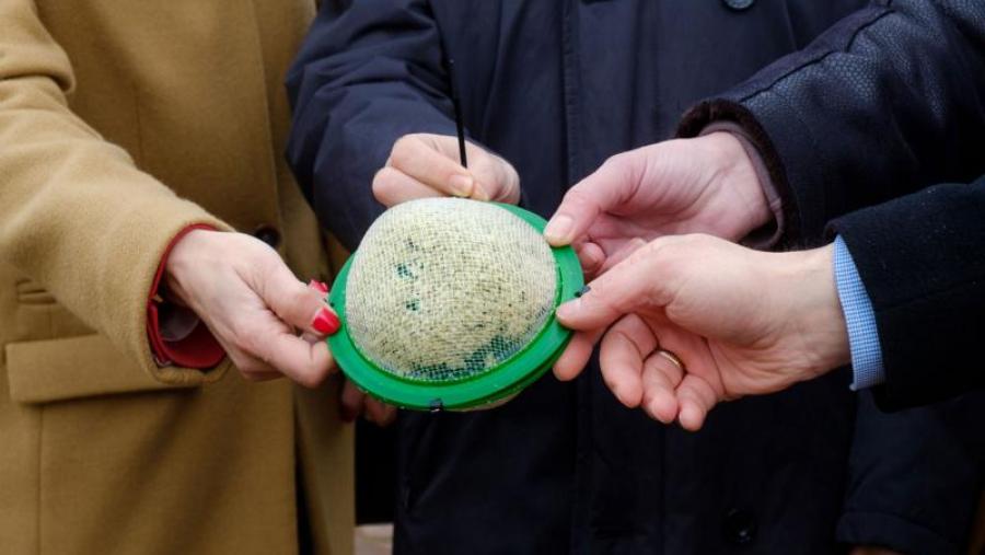 Detalle dun dos 78 dispositivos Mossphere desenvolvidos coa colaboración da USC e instalado en Logroño. Foto: UniRioja