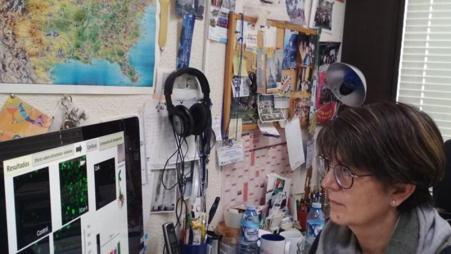 Amparo Alfonso, no seu despacho na Facultade de Veterinaria