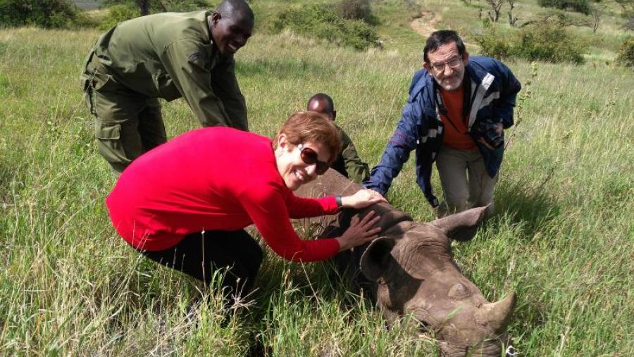 Patrocinio Morrondo e Pablo Díez Baños examinan un rinoceronte con persoal do Servizo de Fauna de Kenia,