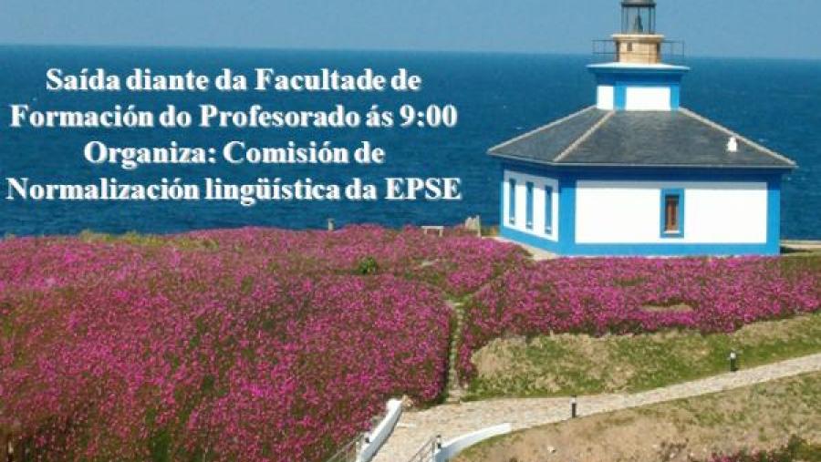 Cartaz da actividade