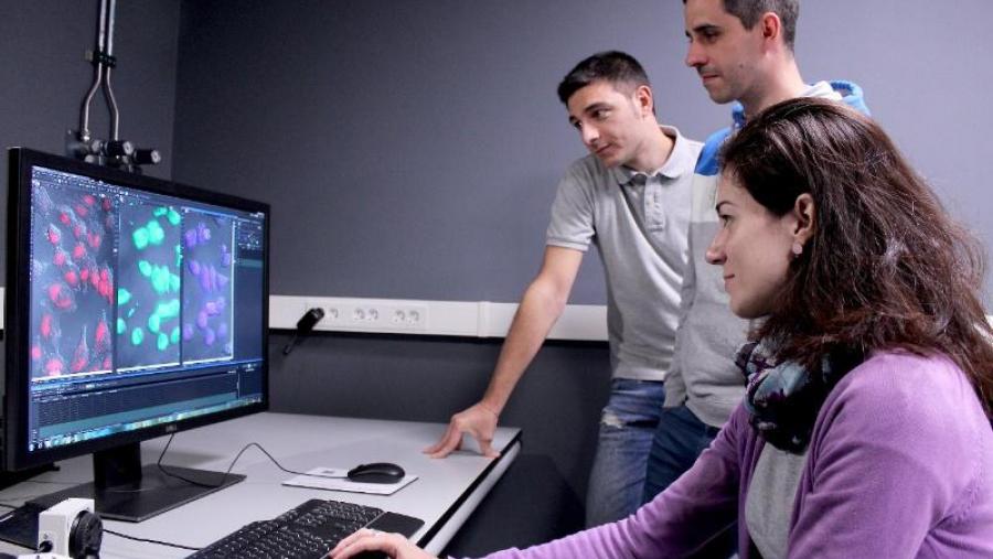 De dereita a esquerda María Tomás, Cristian Vidal e Paolo Destito, autores do traballo xunto con Fernando López e Jose L. Mascareñas. Foto: Andrés Ruiz