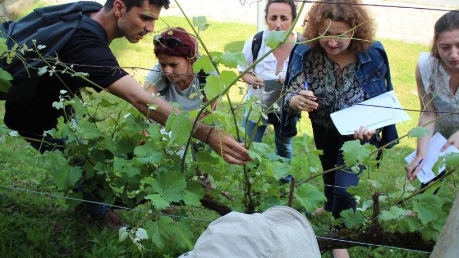 Participantes noutras actividades oganizadas ao abeiro do proxecto Pathogen