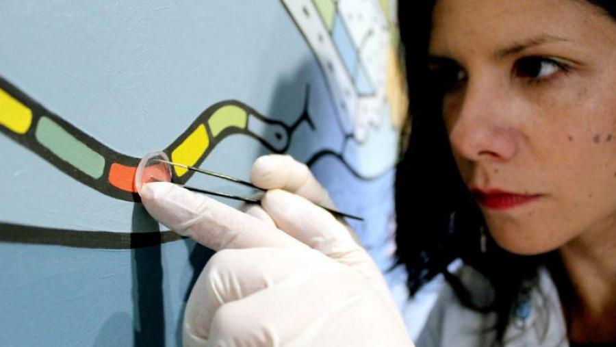 O novo ‘kit de diagnóstico’ permite alertar de riscos ante a degradación de esculturas ou pinturas ao óleo. (Foto: Andrés Ruiz / CiQUS)