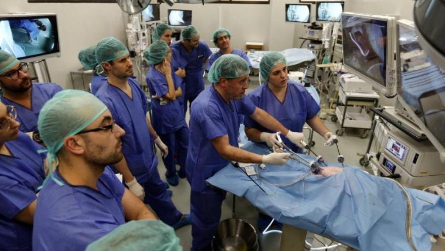 A USC acada dúas das catro novas agrupacións estratéxicas de I+D do SUG na última convocatoria da Xunta de Galicia 