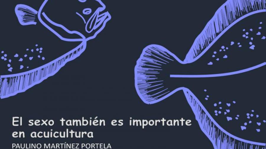 Cartaz da conferencia