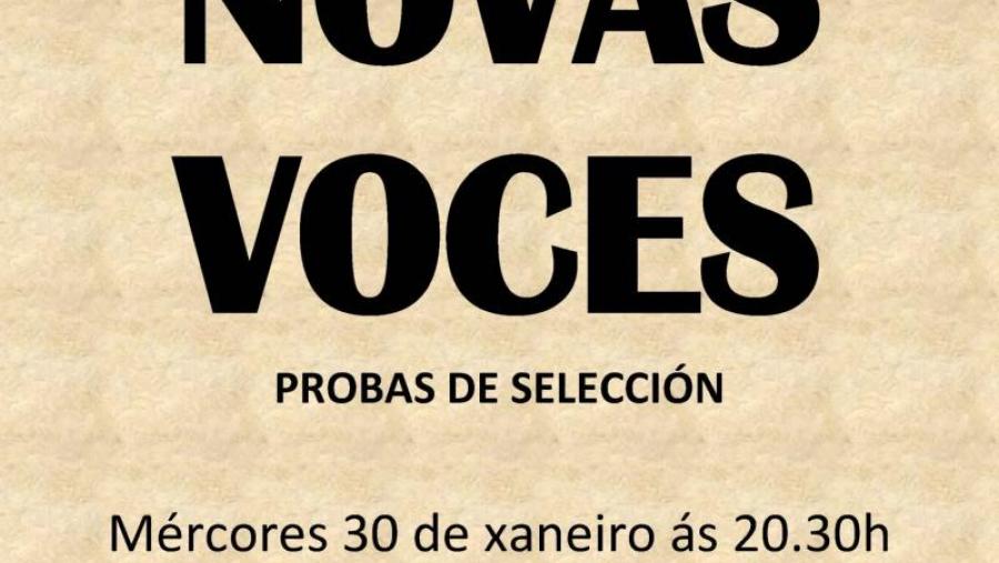 O Coro Universitario busca novas voces
