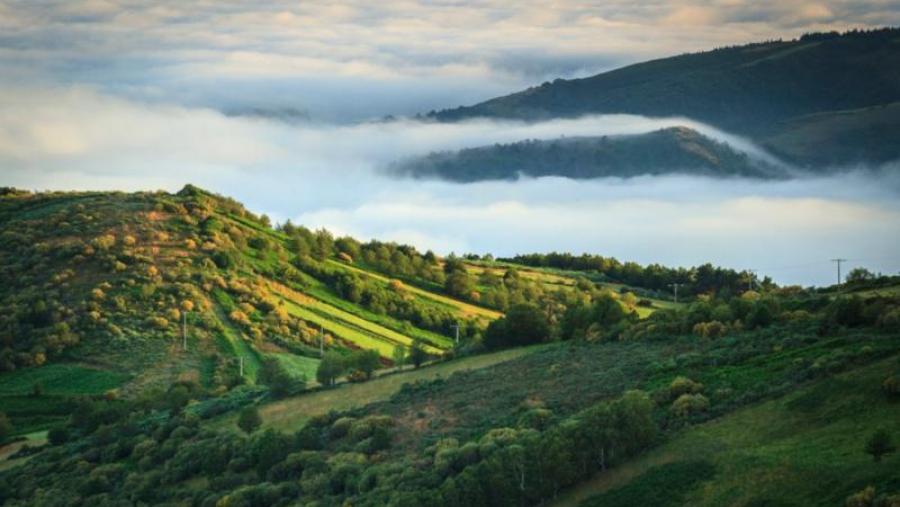 Investigadores da USC e a spin off 3edata desenvolverán un sistema de xestión e control forestal a partir de datos captados por drones