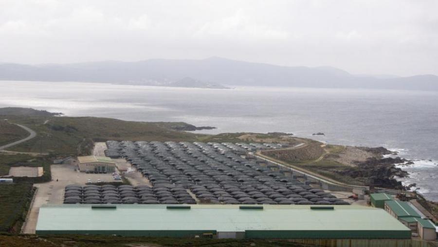 Especialistas europeos avalían a eficacia das axudas outorgadas á acuicultura europea 